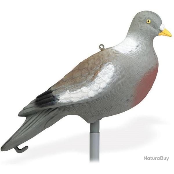 Pack 12 appelants Pigeon pos�