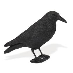 Pack 12 appelants Corbeau floqu&eacute;