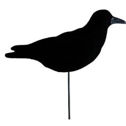 Pack 12 appelants Corbeau floqu&eacute; tournant