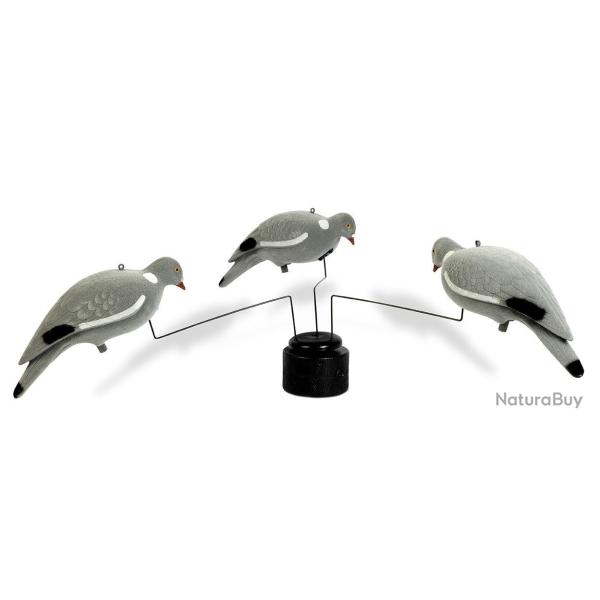 Man�ge �lectrique 3 pigeons