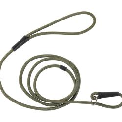 Laisse de pr&eacute;sentation Stepland - 2 m