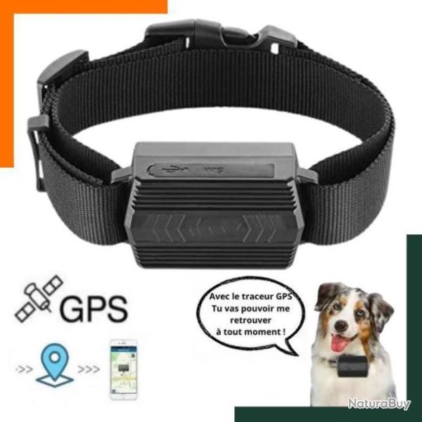 Collier GPS pour chien avec batterie rechargeable de 7 � 25 jours - Pr�cision 5 m - Garantie 2 ans