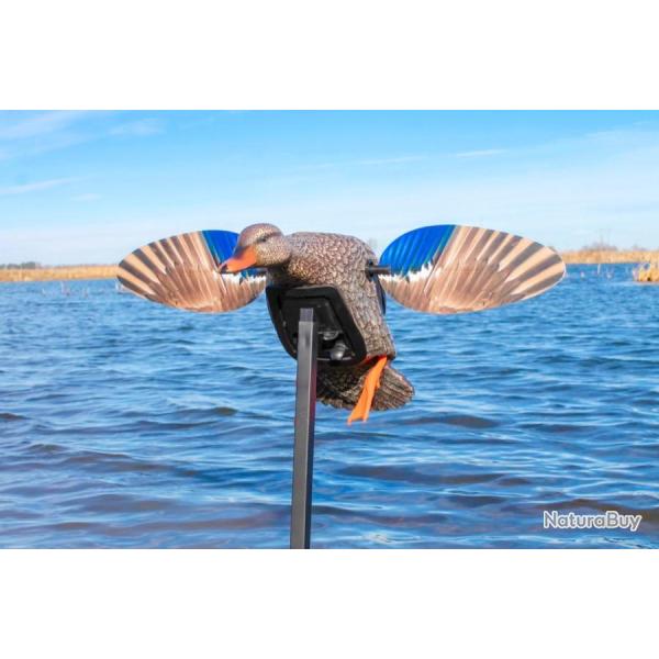 Colvert � ailes tournantes Mojo Elite Series Mini Mallard Hen