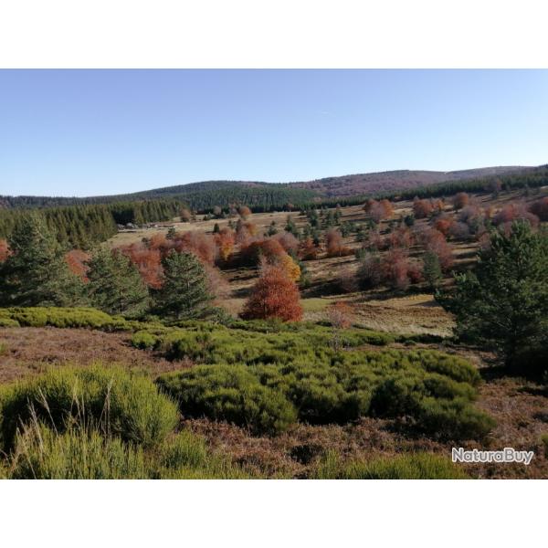 B�casse en Ard�che