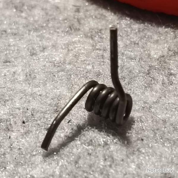 SAFEGOM Cal11.6 - pi�ces - Ressort (3)