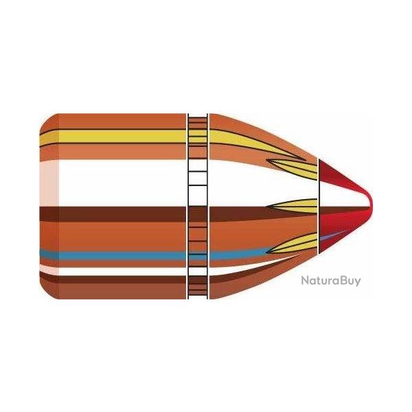 OGIVES HORNADY FTX 45 225GR X100