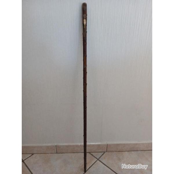 Belle canne �p�e japonaise et canne de marche