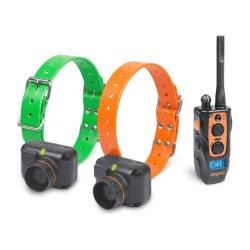 Collier de reperage sonore et de dressage Dogtra 2602 T&B