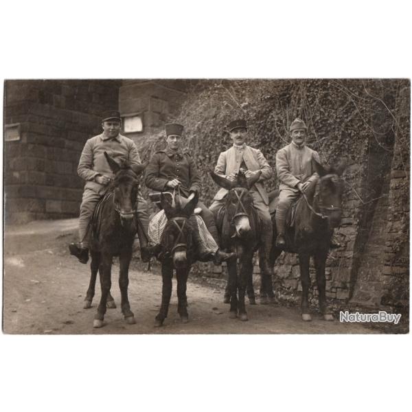 CARTE PHOTO MILITARIA   -  SOLDATS  -  MULES  -  �NES