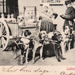 Carte postale ancienne Laiti&egrave;re flamande -N&deg;9002