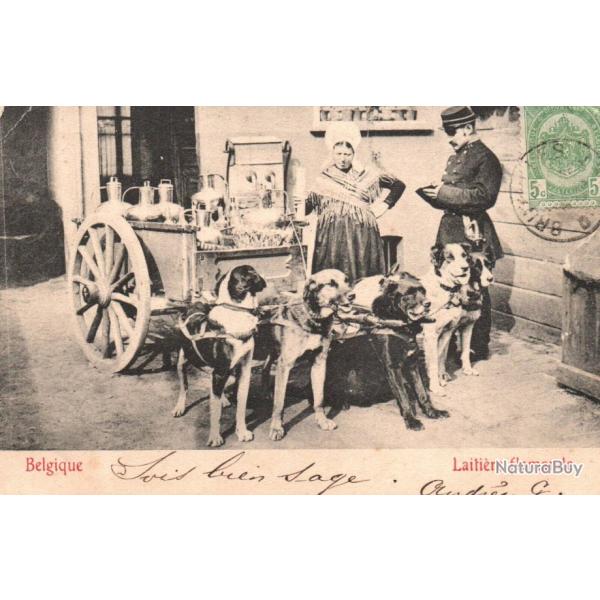 CPA -BELGIQUE LAITI�RE FLAMANDE attelage chiens N�9002