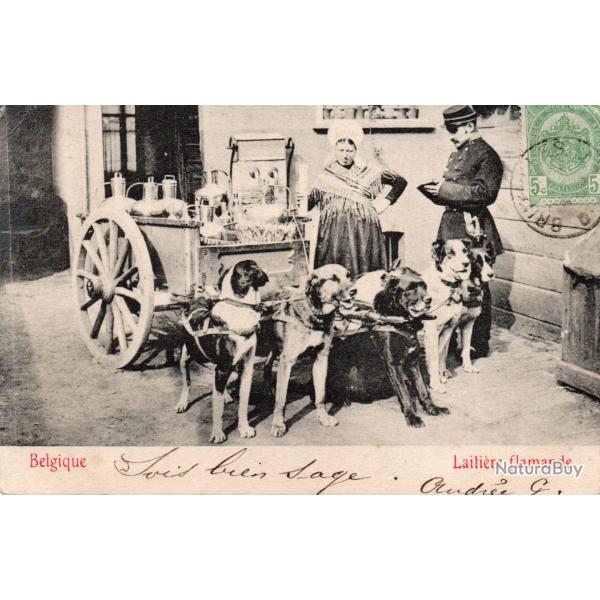 Carte postale ancienne Laiti�re flamande -N�9002