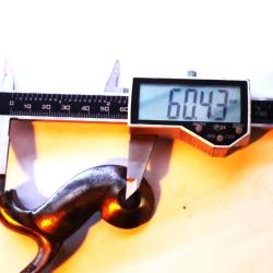 Chien  poin&ccedil;onn&eacute;  &agrave; percussion pr&eacute;1890   n&deg;74  (B