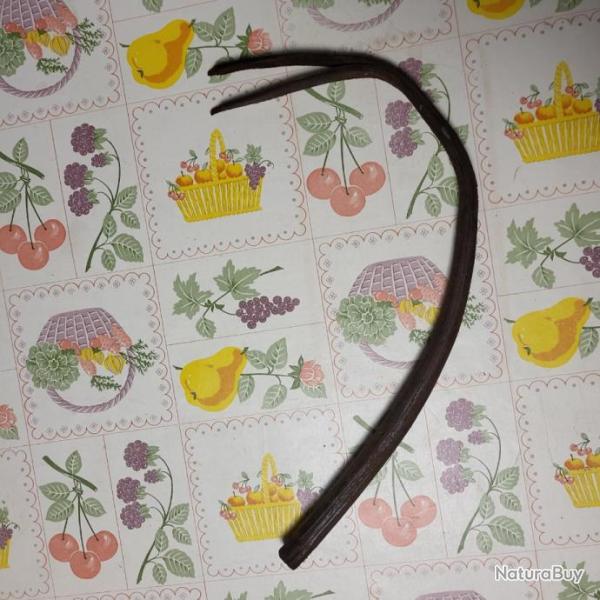 Cravache en cuir