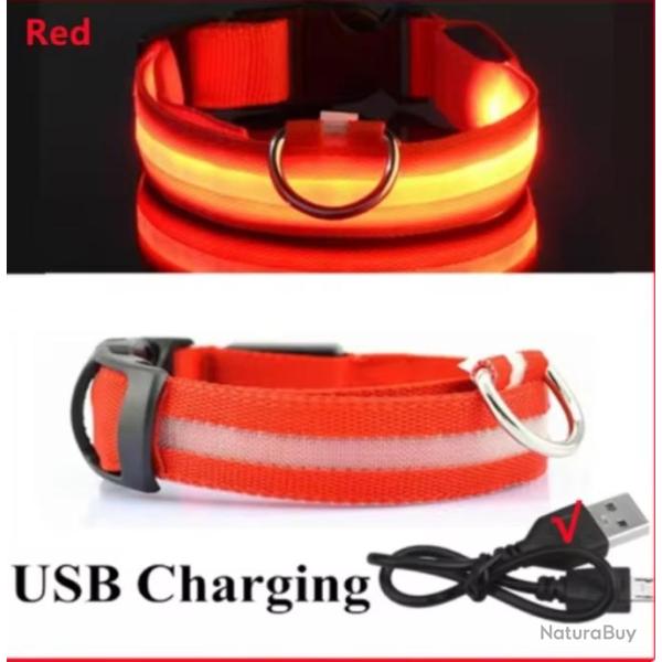 Collier Lumineux LED pour Chiens USB Rechargeable S�curit� Nocturne Confort M 37-46CM Rouge