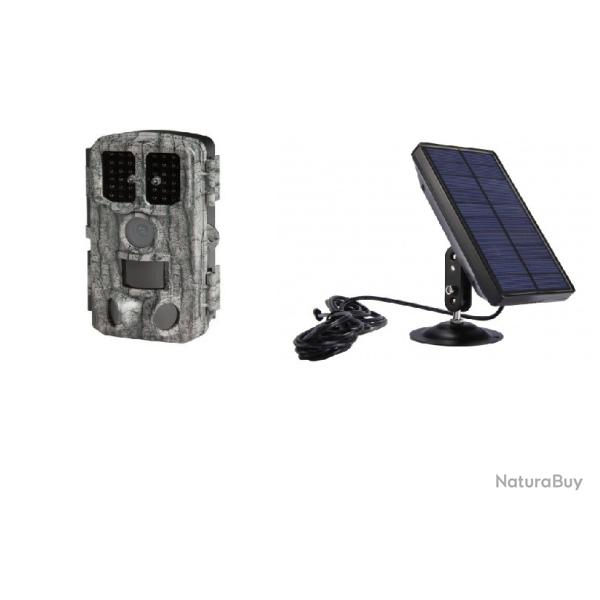 PACK PIGE PHOTOGRAPHIQUE PIE1076 + panneau solaire (VF25)