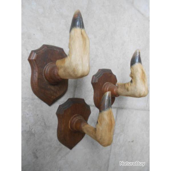 Supports p�tes de chevreuils  x 3(pas d'offre)