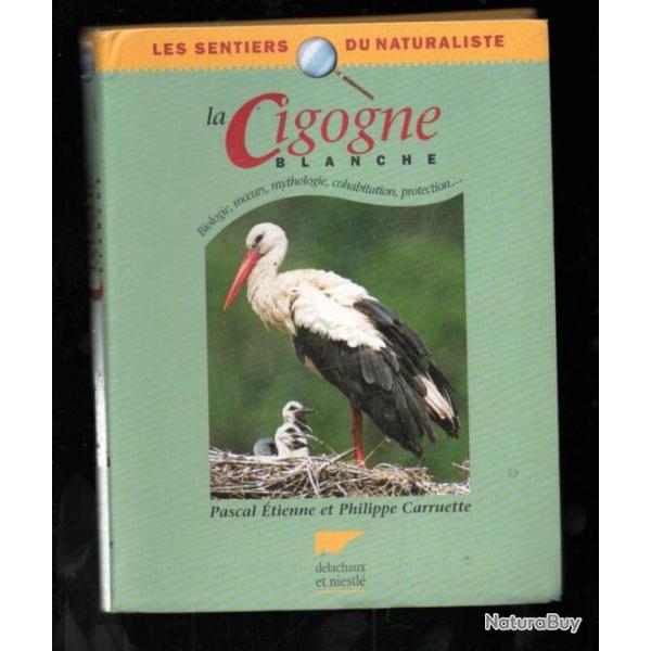 la cigogne blanche de pascal �tienne et philippe carruette , biologie , moeurs, mythologie, protecti