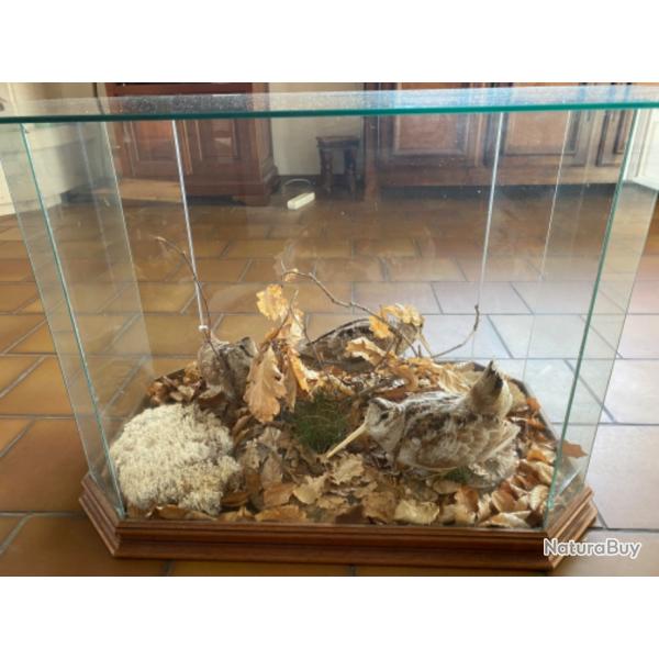 B�casses en table de salon