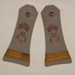 Epaulettes Lieutenant 21&egrave;me R&eacute;giment Tirailleur Alg&eacute;rien Indochine