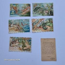 Lot de 6 images Leroux Bonzel sur les crocodiles et les l&eacute;muriens