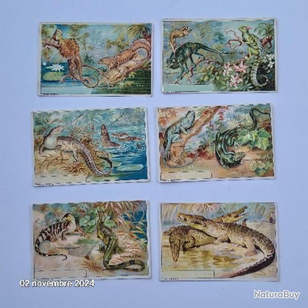 Lot de 6 images Leroux Bonzel sur les crocodiles et les l�muriens