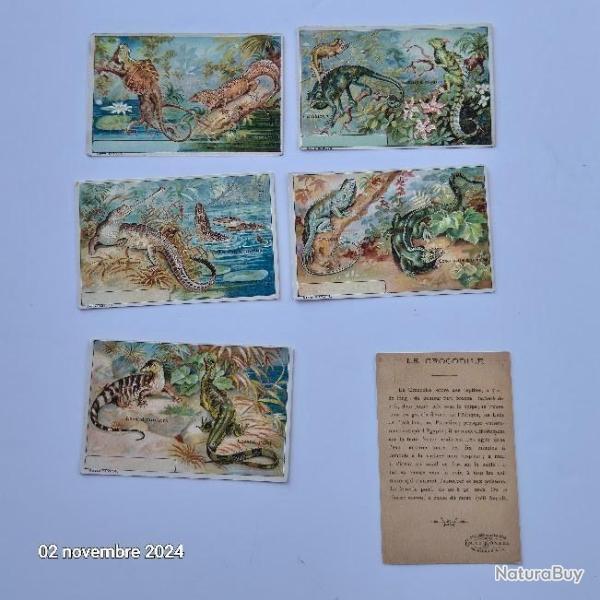 Lot de 6 images Leroux Bonzel sur les crocodiles et les l�muriens