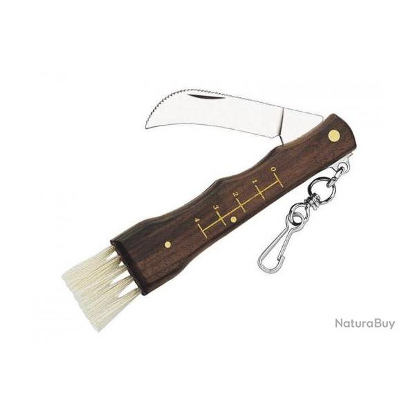 Couteau pliant champignons avec lame courbe manche bois et brosse � l'arri�re