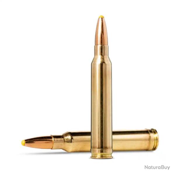 Munitions NORMA calibre 300 Win Mag PPDC 180gr - 11.7g x20