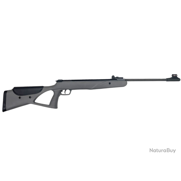 Pack Carabine � plombs Diana Two-Sixty 19.9 J + Lunette 4x32 + Rings - 42 cm