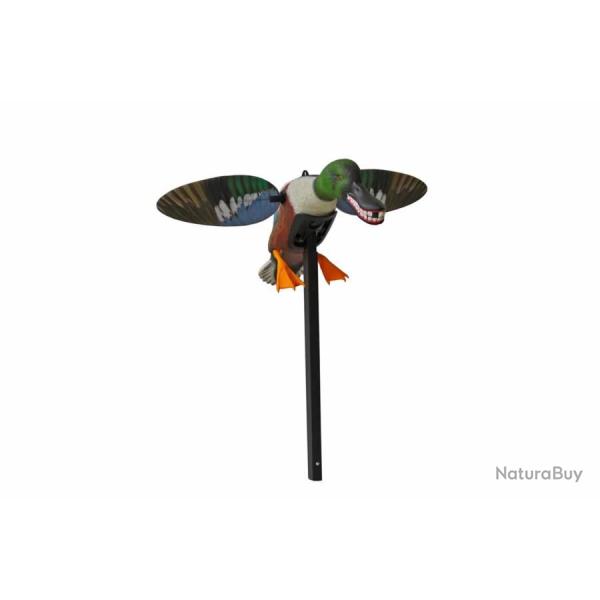 Souchet � ailes tournantes Mojo Spoonzilla