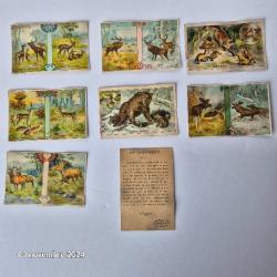 Lot de 8 images Leroux Bonzel sur les animaux sauvages de nos campagnes