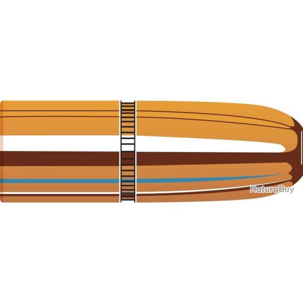 HORNADY 45 CAL 458 500 GR DGS 4507 X50