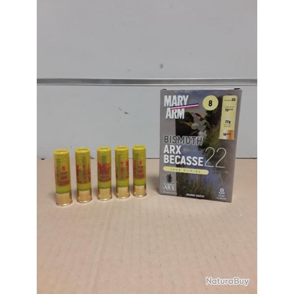 LOT DE 20 CARTOUCHES BISMUTH ARX BECASSE 22 DE CHEZ MARY ARM CALIBRE 20