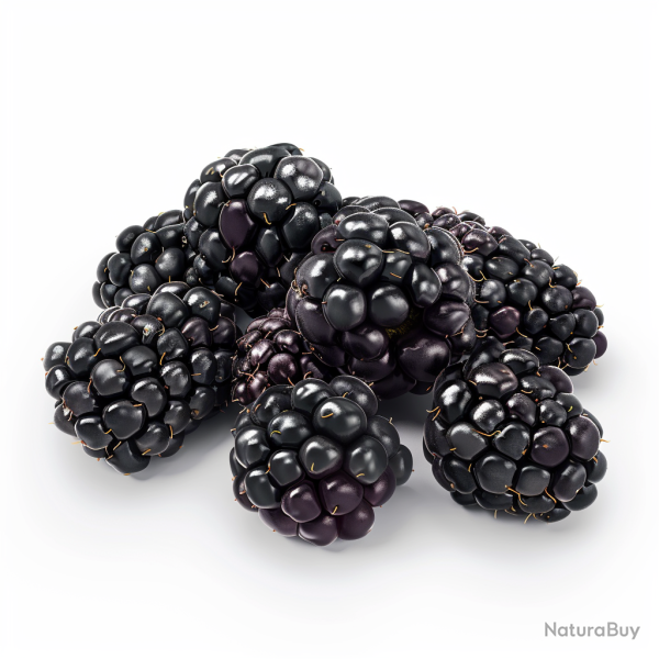 100 Graines de M�re Sauvage - SemiSauvage Permaculture