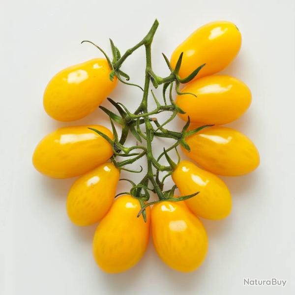 35 Graines de Tomate Cerise Poire Jaune - SemiSauvage Permaculture