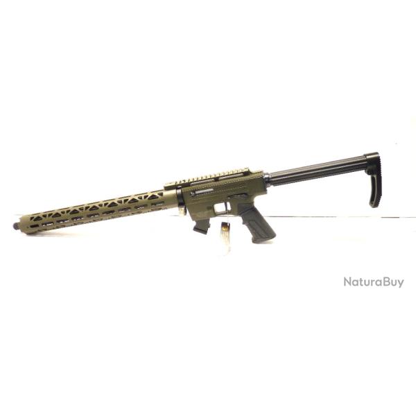 Carabine semi-automatique Derya TM22 18" VERT Cal.22LR CATB