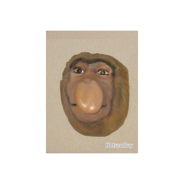 Troph�e taxidermie r�plique faux nasique en r�sine