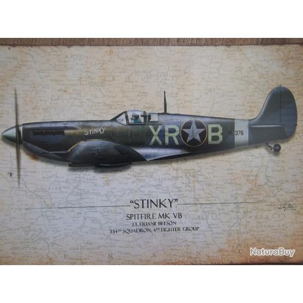 plaque d�coration 20 X 30 spitfire RAF collection militaire Spitfire Mk  Duane Beeson