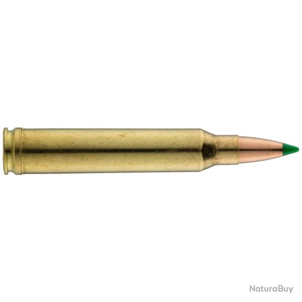 Munitions SOLOGNE calibre 270 WSM Nosler Ballistic Tip 150 gr - 9.7g x20