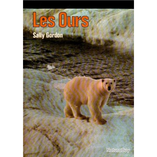 les ours de sally gordon,