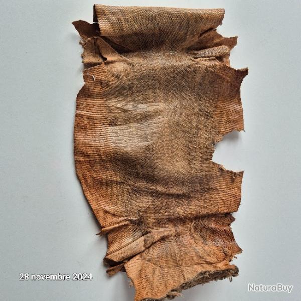 Peau de cuir de l�zard - Couleur et aspect naturel,