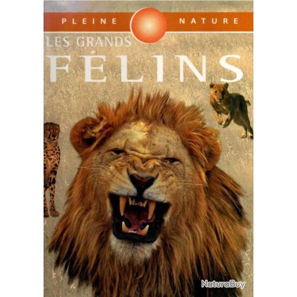 les grands f�lins de rhonda klevansky collection pleine nature