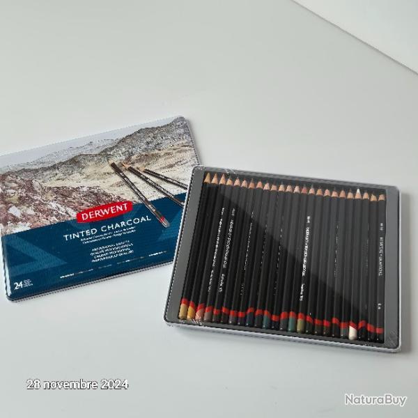 Derwent Tinted Charcoal - boite de 24 Crayons Fusains de Couleurs, Aquarellables,