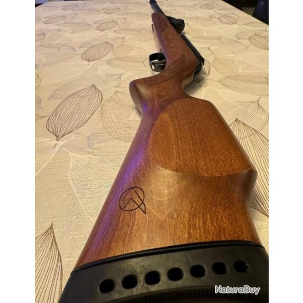 Carabine a Plomb Gamo Fast Shot chargeur de 10 plombs 4.5mm 20j (Pack Complets, bo�te d'origine)