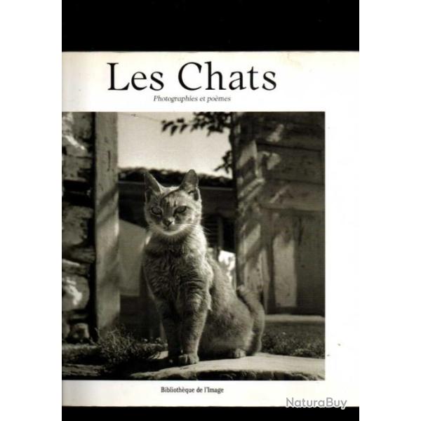 les chats photographies et po�mes