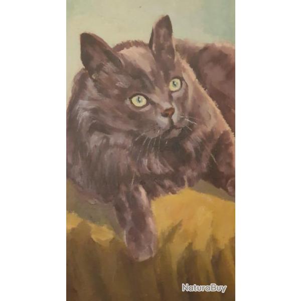 Huile sur toile 60�50 le Chat sur son coussin sign� dat� voir photos