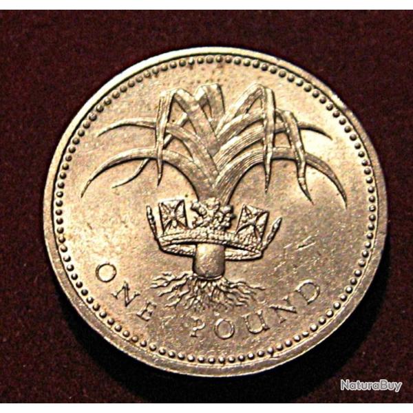 Angleterre  piece de one pound 1985 ttb Elizabeth II