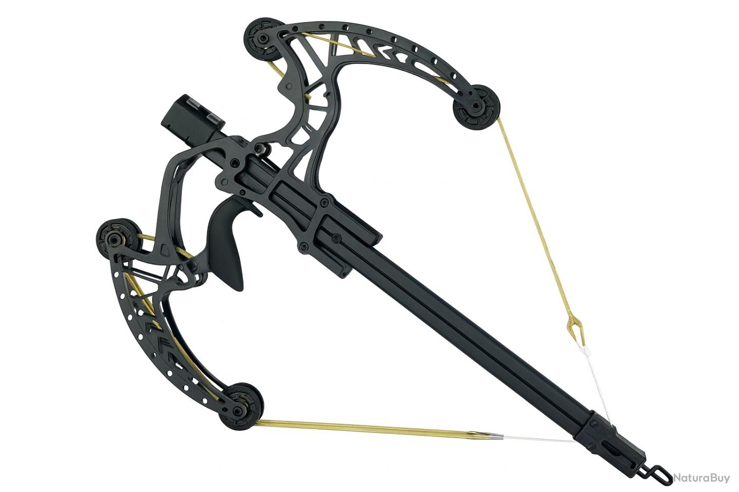 Arc Composé Milaem 40-65 Lbs - Ambidextre - Double Usage (flèches/billes) - Noir