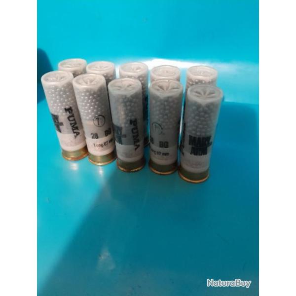 Cartouches calibre 16